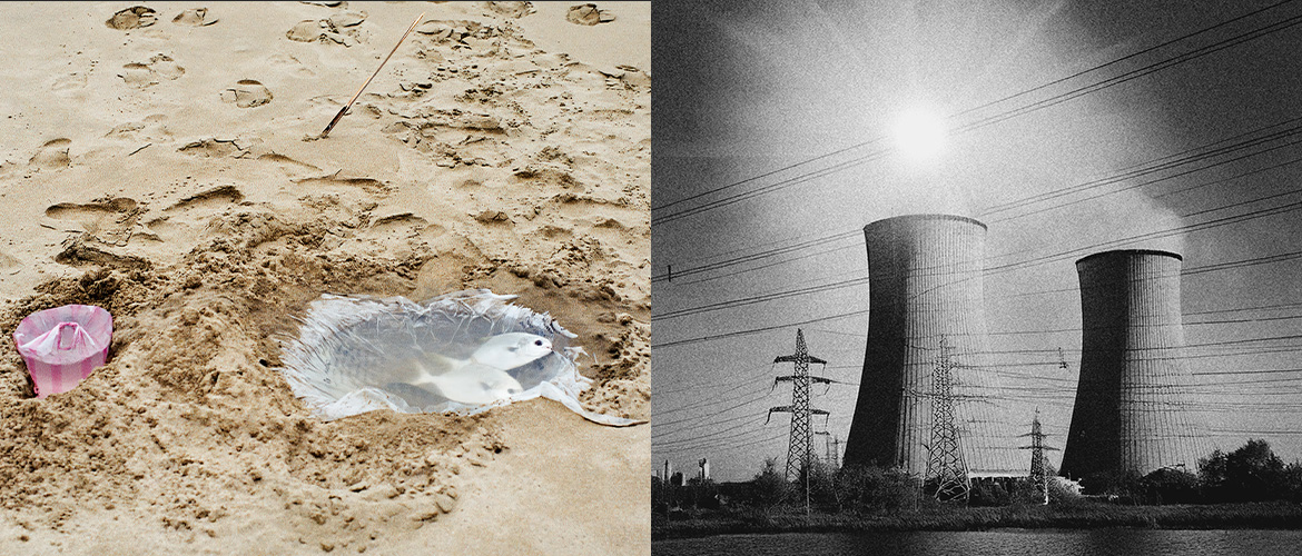 Paradis artificiels – PhotoSaintGermain