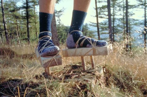 Habiter le paysage : pratiques artistiques d’hospitalité pour le vivant