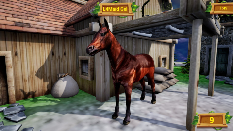 Cheval d'événement