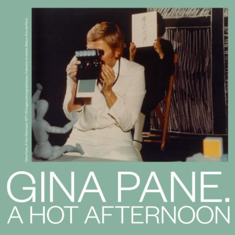 Gina Pane. A Hot Afternoon